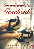 Ein unerwartetes Geschenk (eBook, ePUB)