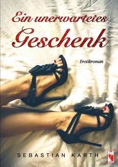 Ein unerwartetes Geschenk (eBook, ePUB) - Karth, Sebastian