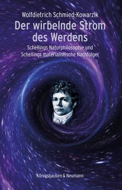 Der wirbelnde Strom des Werdens (eBook, PDF) - Schmied-Kowarzik, Wolfdietrich