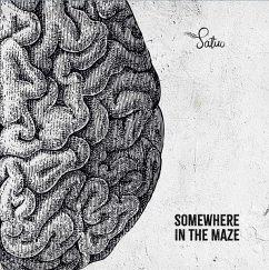 Somewhere In The Maze - Satuo
