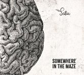 Somewhere In The Maze