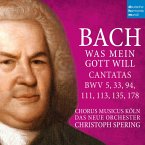 Cantatas Bwv 5,33,94,111,113,135,178