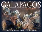 Galápagos (eBook, ePUB)