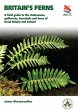 Ferns (eBook, ePUB) - Bild 1