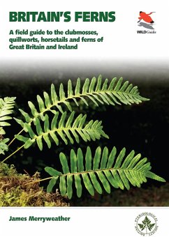 Ferns (eBook, ePUB) Cover Ferns (eBook, ePUB)