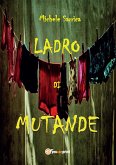 Ladro di mutande (eBook, ePUB)