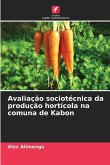 Avaliação sociotécnica da produção hortícola na comuna de Kabon