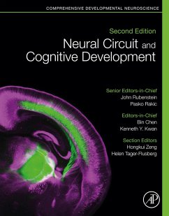 Neural Circuit and Cognitive Development (eBook, ePUB)