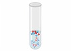 Immunochemical Methods-2 (eBook, ePUB)