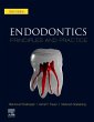 Endodontics E-Book (eBook, ePUB) - Bild 1