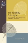 Tranquillity & Insight: An Introduction to the Oldest Form of Buddhist Meditation