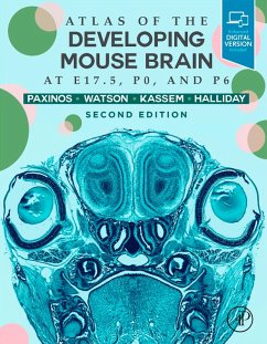 Atlas of the Developing Mouse Brain (eBook, ePUB) - Paxinos, George; Halliday, Glenda; Watson, Charles; Kassem, Mustafa S.