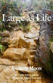 Large As Life (eBook, ePUB)