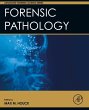 Forensic Pathology (eBook, ePUB) - Bild 1