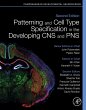 Patterning and Cell Type Specification... - Bild 1