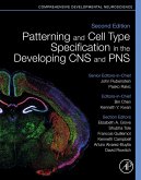 Patterning and Cell Type Specification in the Developing CNS and PNS (eBook, ePUB)