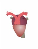 Properties of Cardiac Muscle in Beating Heart-1 (eBook, ePUB) Properties of Cardiac Muscle in Beating Heart-1 (eBook, ePUB)