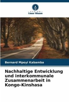 Cover Nachhaltige Entwicklung und interkommunale Zusammenarbeit in Kongo-Kinshasa