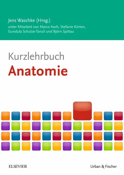 Kurzlehrbuch Anatomie (eBook, ePUB)