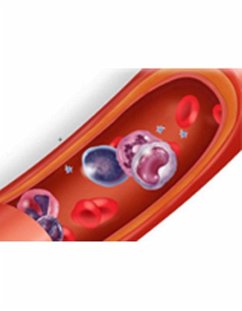 Cover Red Blood Cell count (eBook, ePUB)