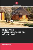 Inquéritos socioeconómicos na África rural