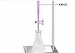 Cover Estimation of Serum Calcium (eBook, ePUB)