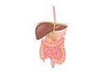Glucose Tolerance Test (eBook, ePUB)