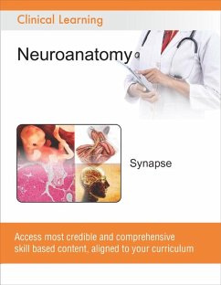 Cover Synapse (eBook, ePUB)