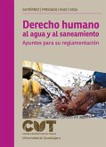 Derecho humano al agua y al saneamiento (eBook, ePUB)