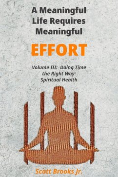 A Meaningful Life Requires Meaningful Effort (Doing Time the Right Way, #3) (eBook, ePUB) - Brooks, Scott