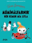 Hér kemur Mía litla (eBook, ePUB)