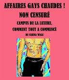 Affaires gays chaudes ! Non censuré (eBook, ePUB)