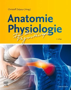 Anatomie Physiologie für die Physiotherapie (eBook, ePUB)