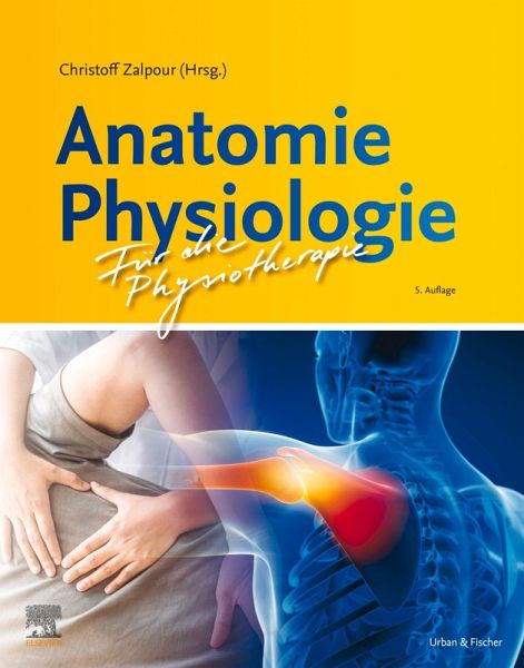 Anatomie Physiologie für die Physiotherapie (eBook, ePUB) Anatomie Physiologie für die Physiotherapie (eBook, ePUB)