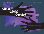 What Goes Down (eBook, ePUB)