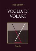 Voglia di volare (eBook, ePUB)