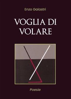 Voglia di volare (eBook, ePUB) - Galastri, Vincenzo