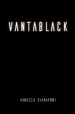 Vantablack (eBook, PDF)