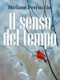 Il senso del tempo (eBook, ePUB)