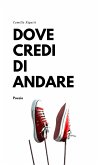 Dove credi di andare (eBook, ePUB)