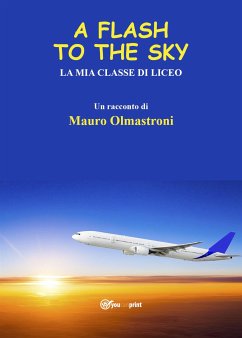 A Flash to the Sky (eBook, ePUB) - Olmastroni, Mauro