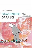 Stazionario sarà lei (eBook, ePUB)