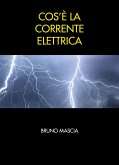 Cos'è la corrente elettrica (eBook, ePUB)