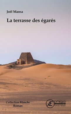 La terrasse des égarés (eBook, ePUB) - Mansa, Joël