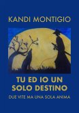 Tu ed io un solo destino (eBook, ePUB)