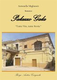 Palazzo Gala (eBook, ePUB)