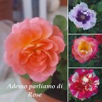 Adesso parliamo di rose (eBook, ePUB)