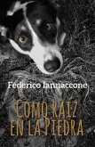 Como raíz en la Piedra (eBook, ePUB)