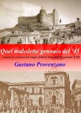 Quel maledetto 11 gennaio (eBook, ePUB)