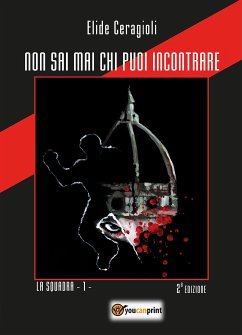 Cover Non sai mai chi puoi incontrare (eBook, ePUB)